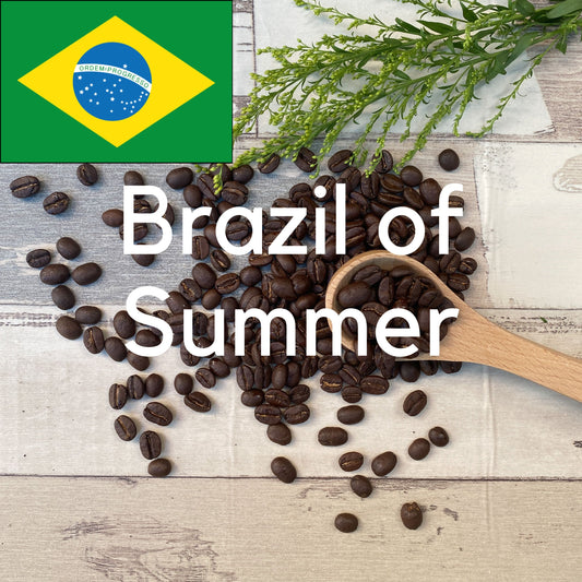 季節のブラジル（170g）